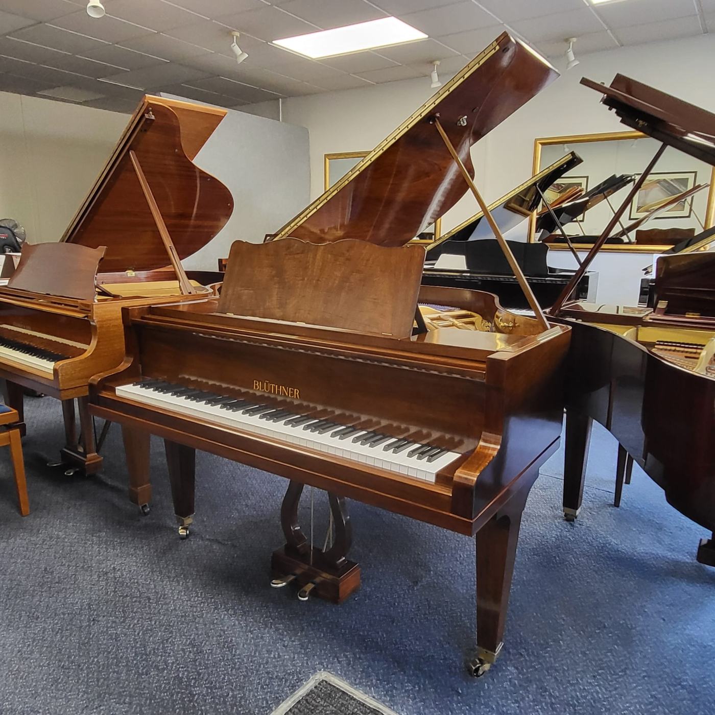 Bluthner style IVa grand Piano in walnut – Featured image – Roberts Pianos Oxford