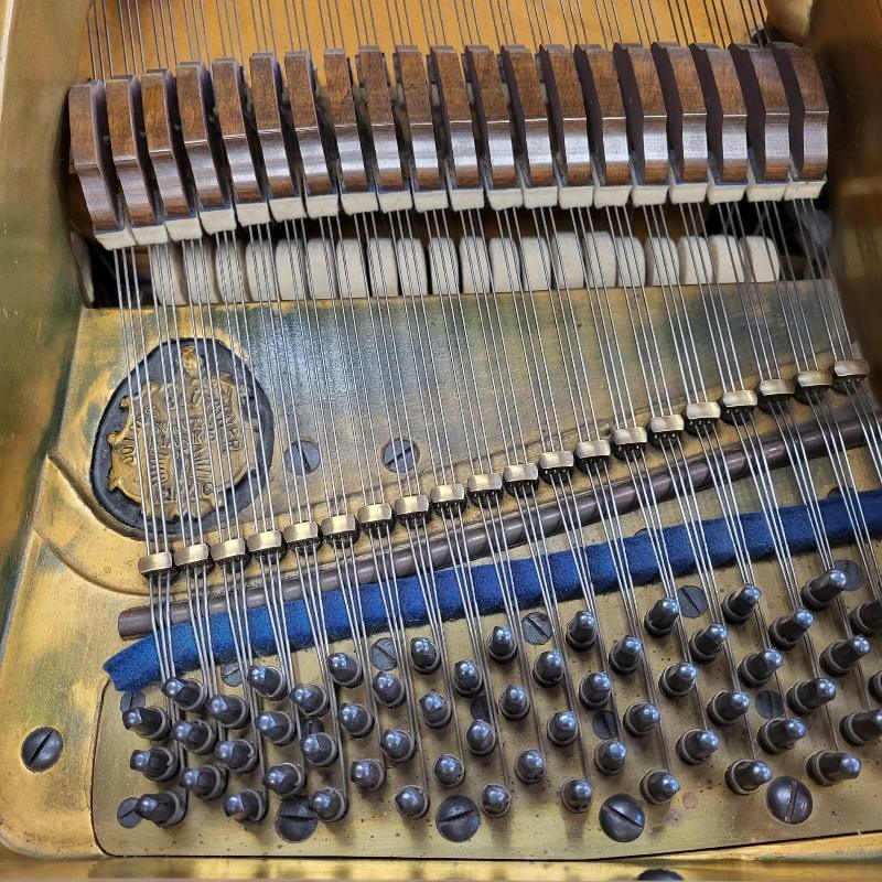 Bluthner style IVa grand Piano in walnut – Gallery image – Roberts Pianos Oxford