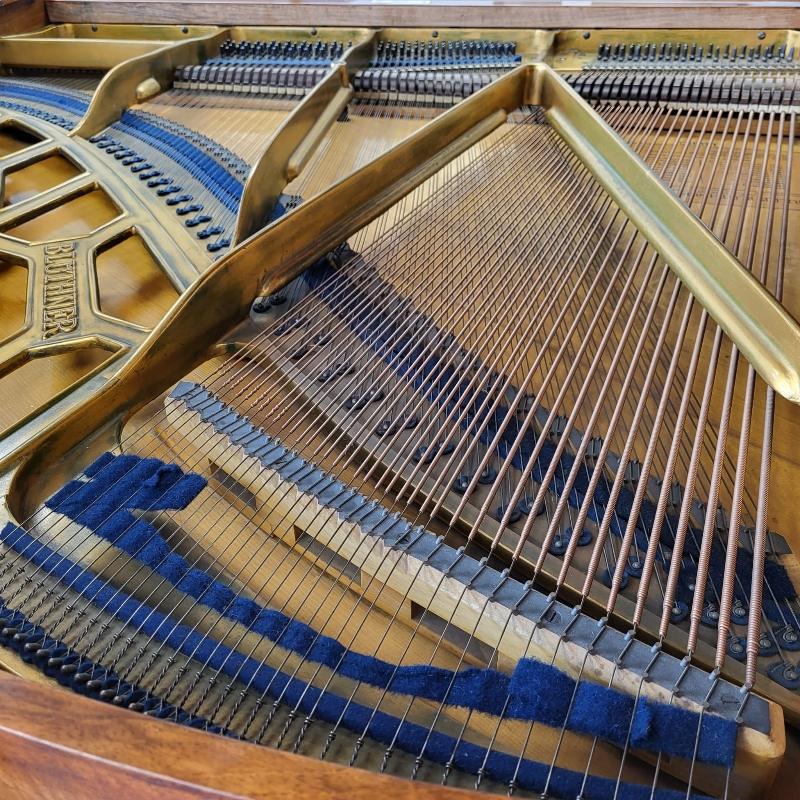 Bluthner style IVa grand Piano in walnut – Gallery image – Roberts Pianos Oxford