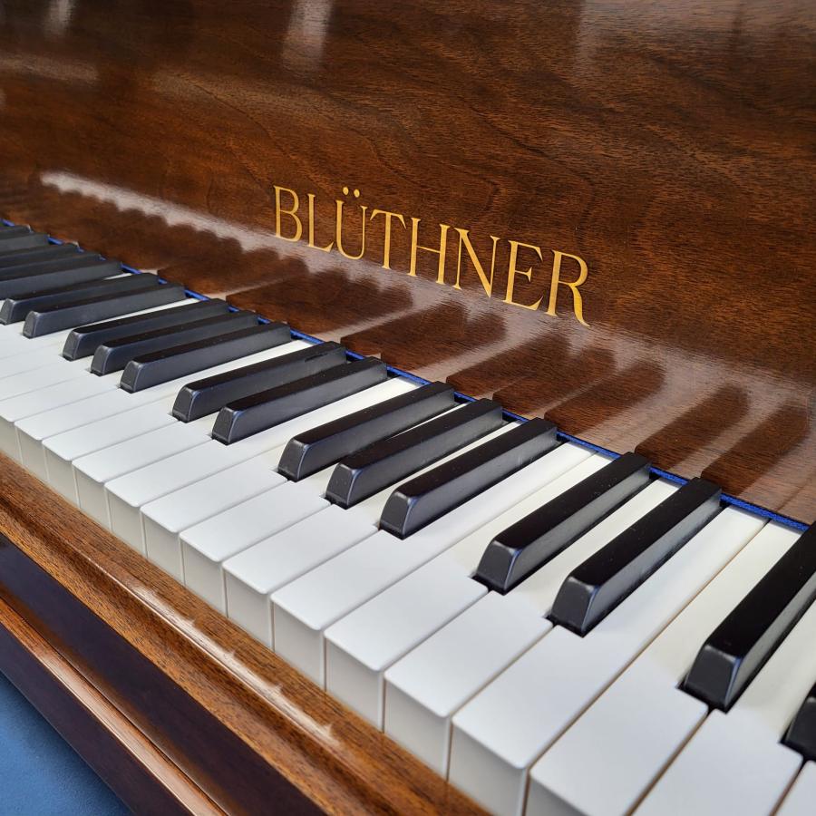 Bluthner style IVa grand Piano in walnut – Gallery image – Roberts Pianos Oxford