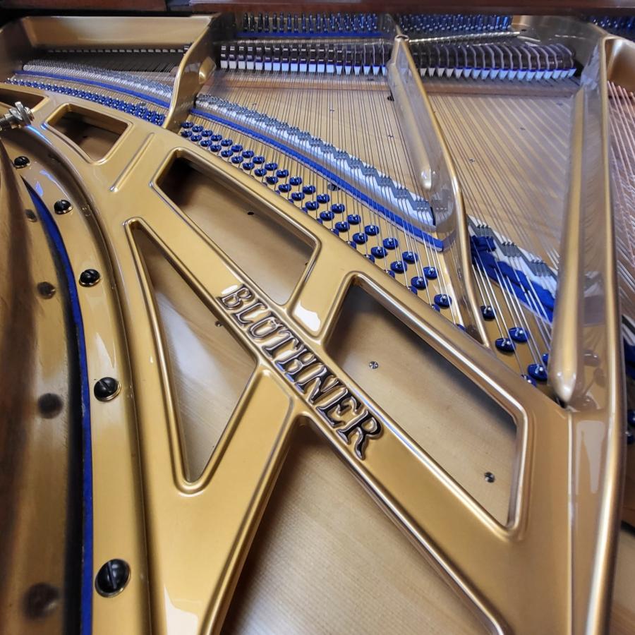 Bluthner style IVa grand Piano in walnut – Gallery image – Roberts Pianos Oxford
