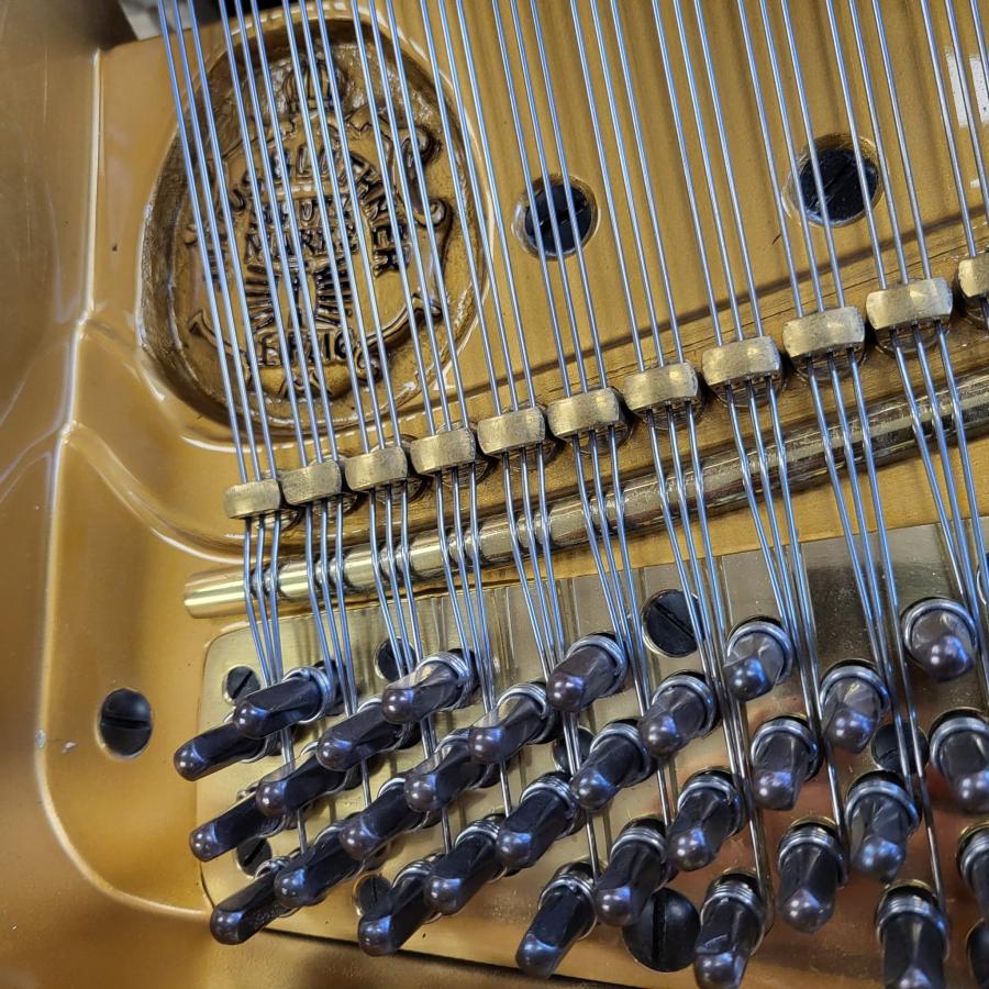 Bluthner style IVa grand Piano in walnut – Gallery image – Roberts Pianos Oxford