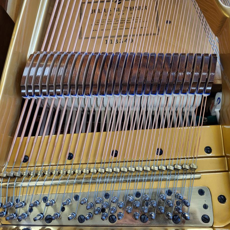 Bluthner style IVa grand Piano in walnut – Gallery image – Roberts Pianos Oxford