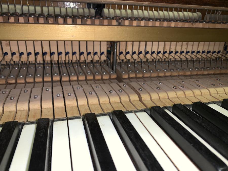 Bluthner Style V grand Piano in rosewood – Gallery image – Roberts Pianos Oxford