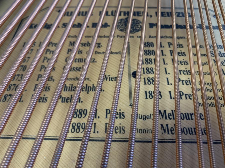 Bluthner VIII grand Piano in Rosewood – Gallery image – Roberts Pianos Oxford