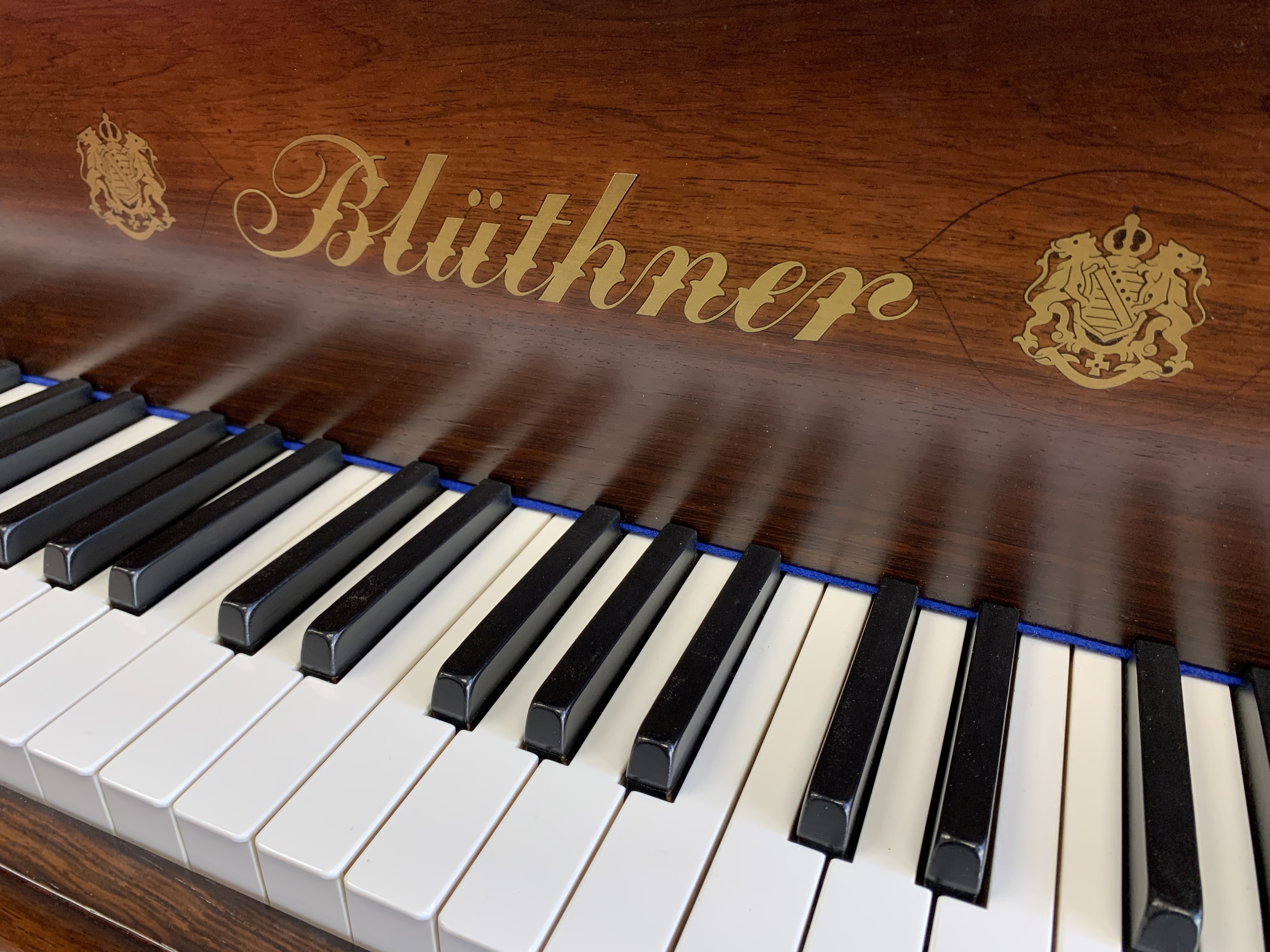Bluthner VIII