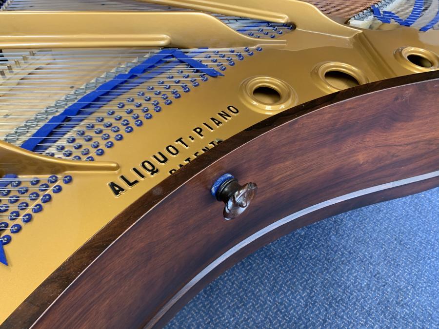 Bluthner VIII grand Piano in Rosewood – Gallery image – Roberts Pianos Oxford