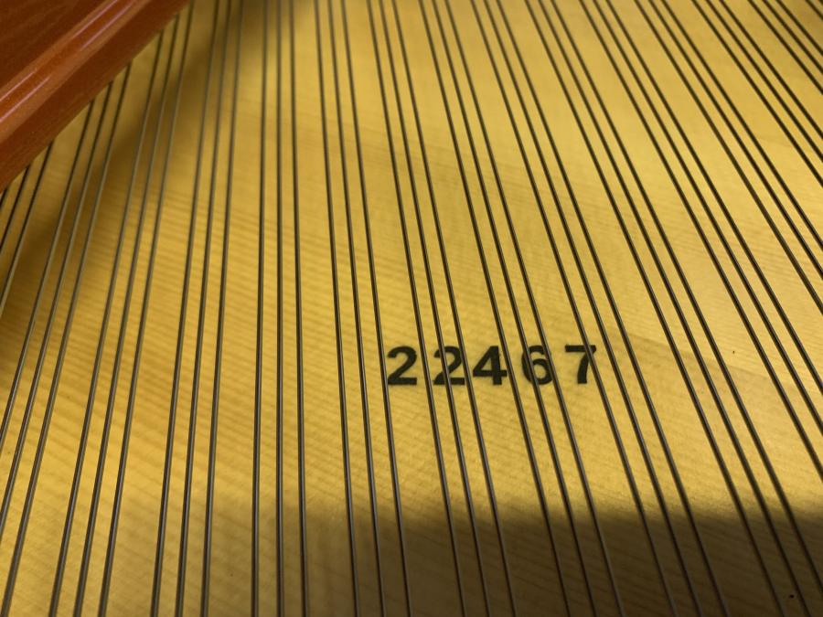 Bosendorfer 170 grand Piano in Black – Gallery image – Roberts Pianos Oxford