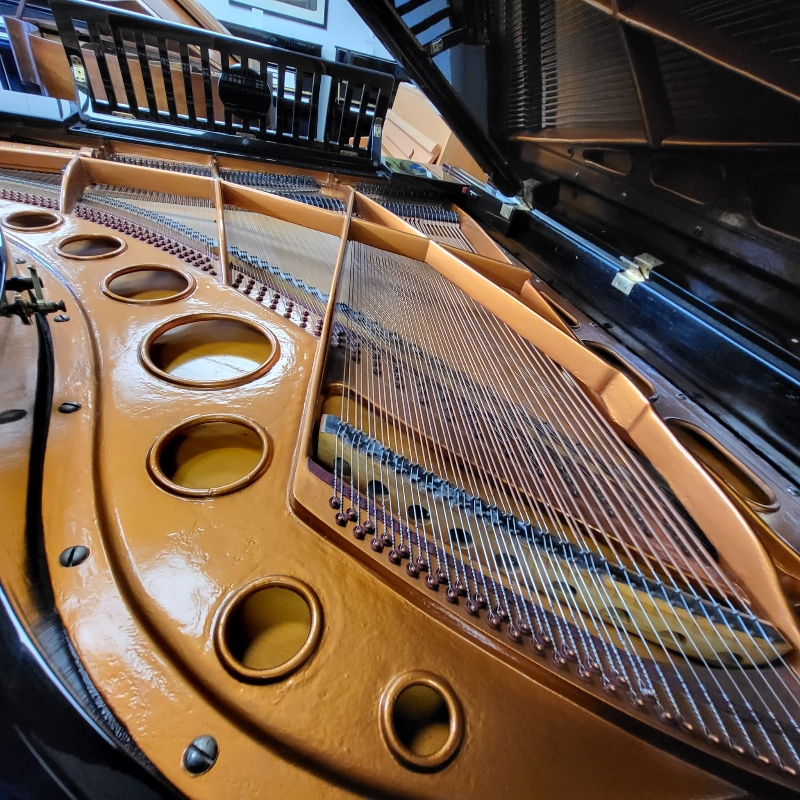 Bosendorfer 190
