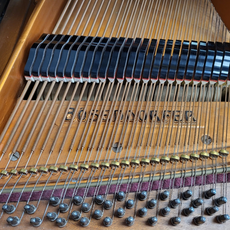 Bosendorfer 190