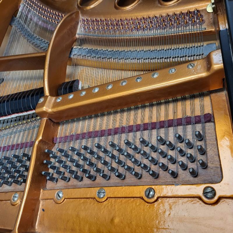 Bosendorfer 190 grand Piano in black polyester – Gallery image – Roberts Pianos Oxford