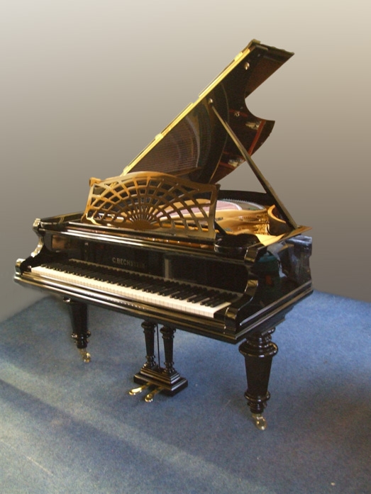 Bechstein V