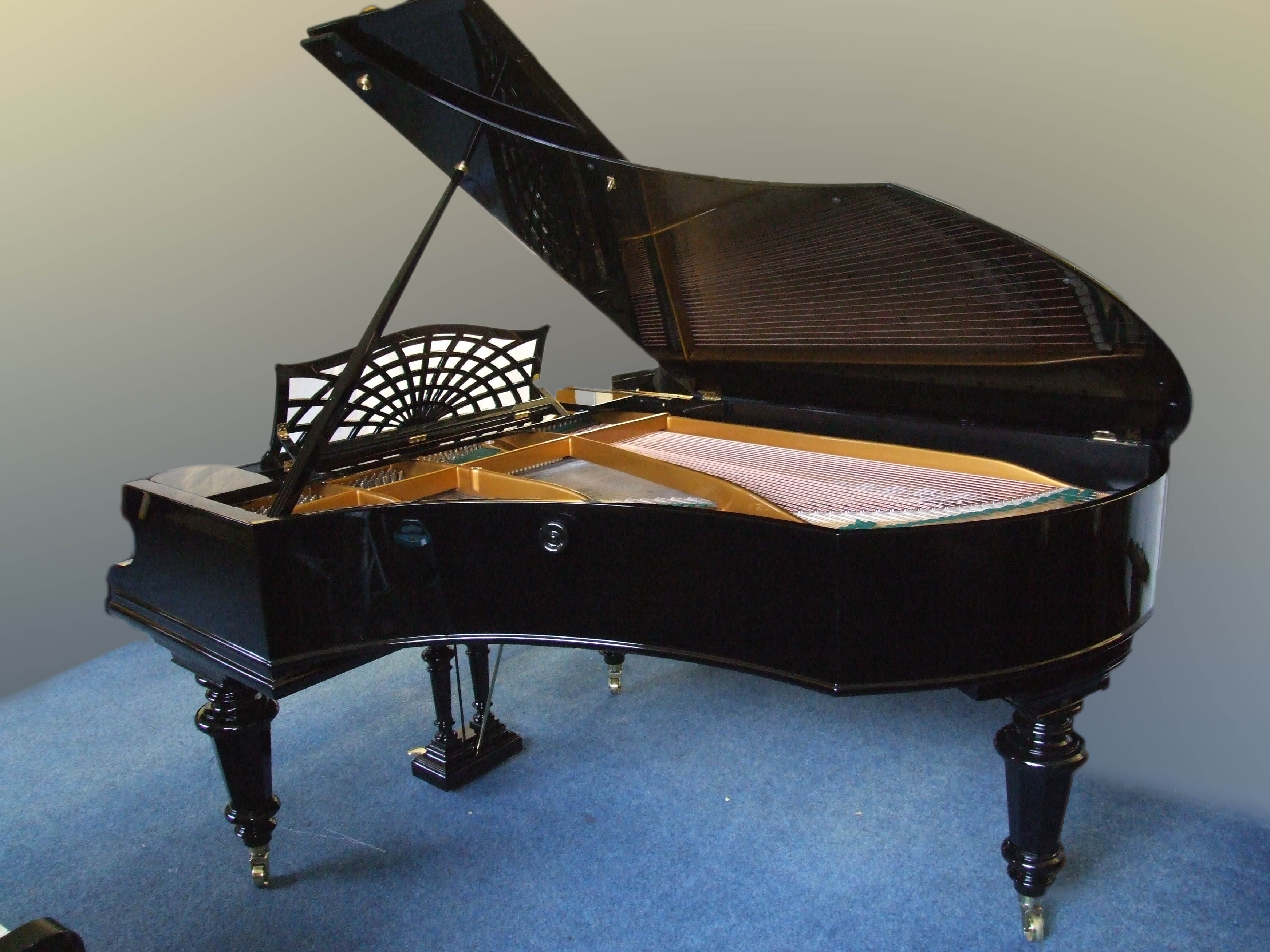 Bechstein V