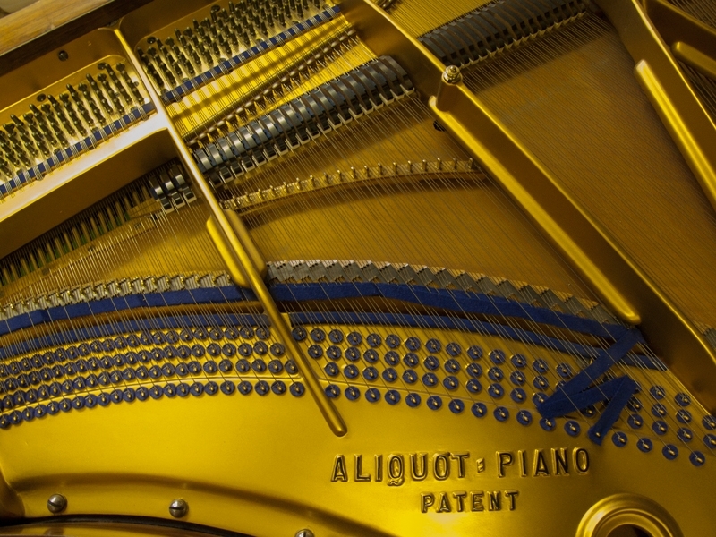 Bluthner VIII   Aliquot
