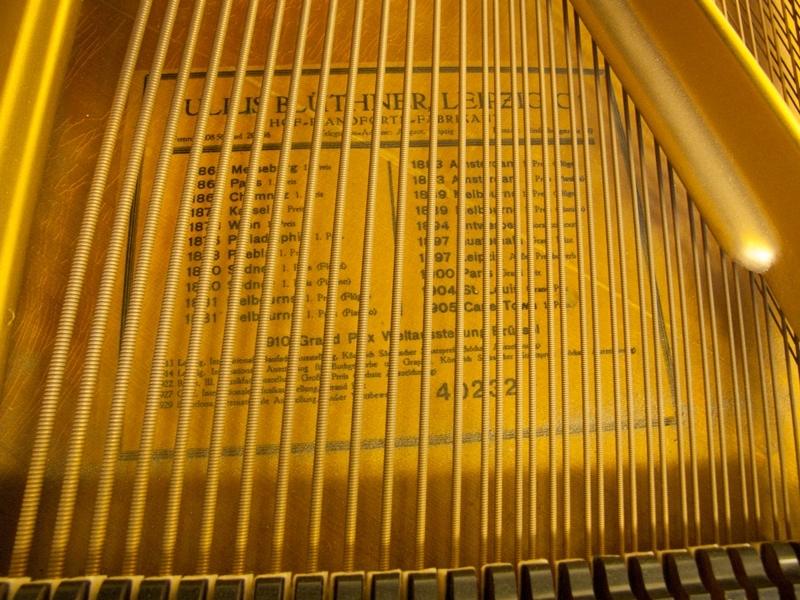 Bluthner VIII Aliquot grand Piano in Rosewood – Gallery image – Roberts Pianos Oxford