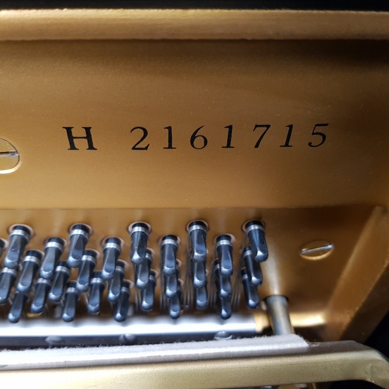 Yamaha U1H