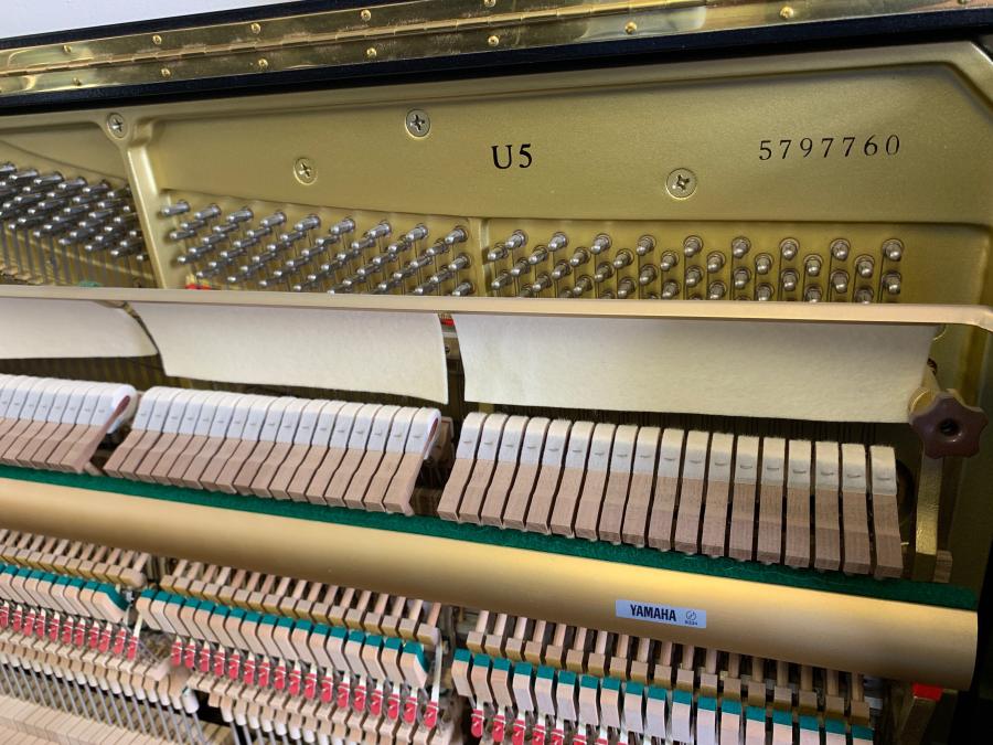 Yamaha U5 upright Piano in bright black – Gallery image – Roberts Pianos Oxford