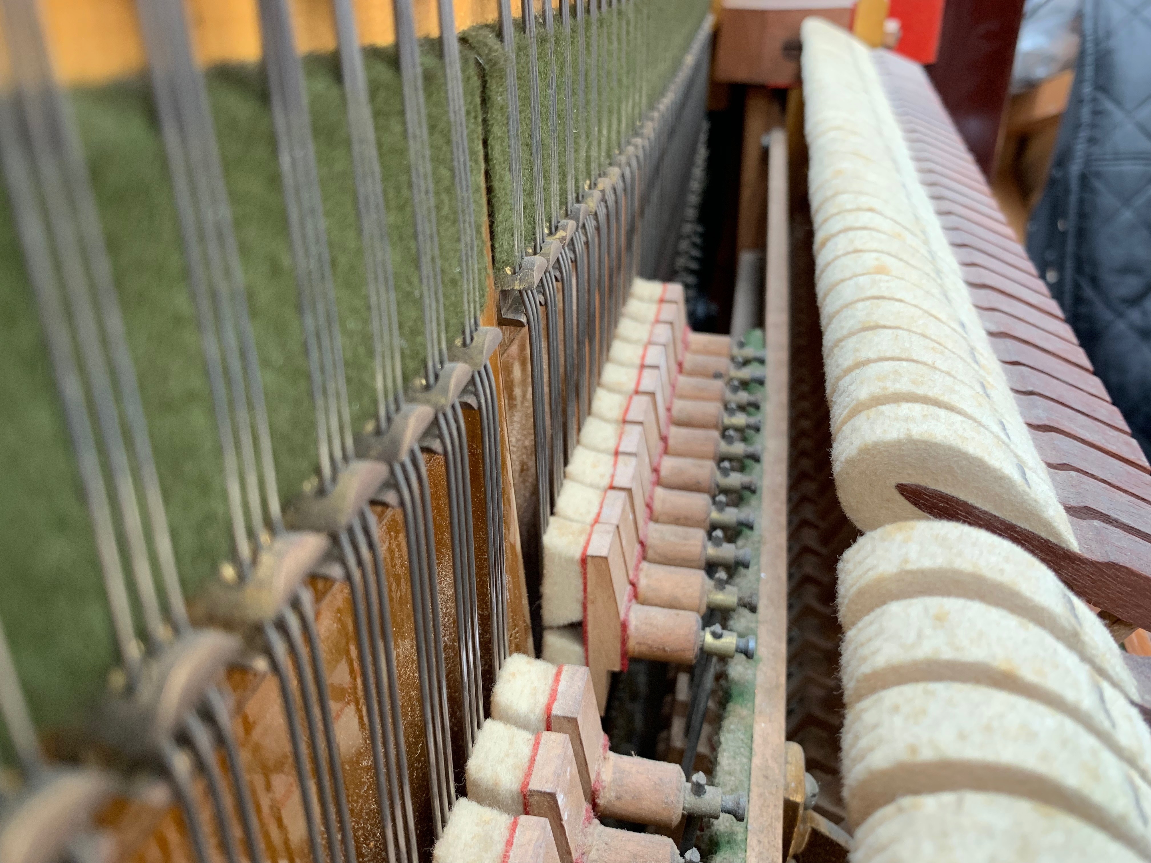Bechstein 7