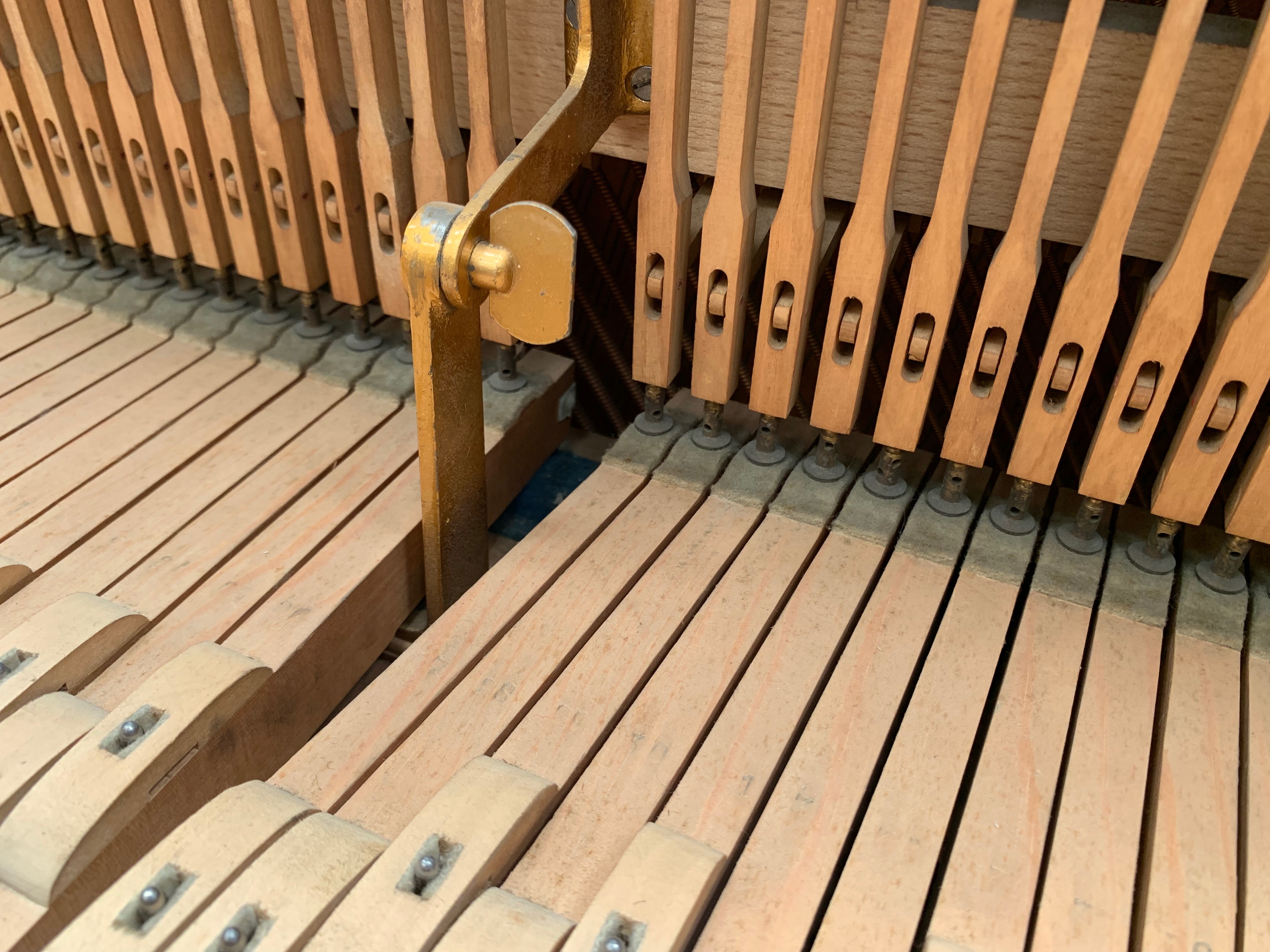 Bechstein 7