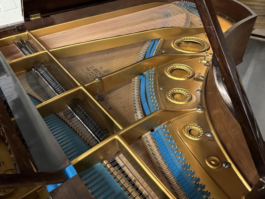 Bechstein V grand Piano in Rosewood – Gallery image – Roberts Pianos Oxford