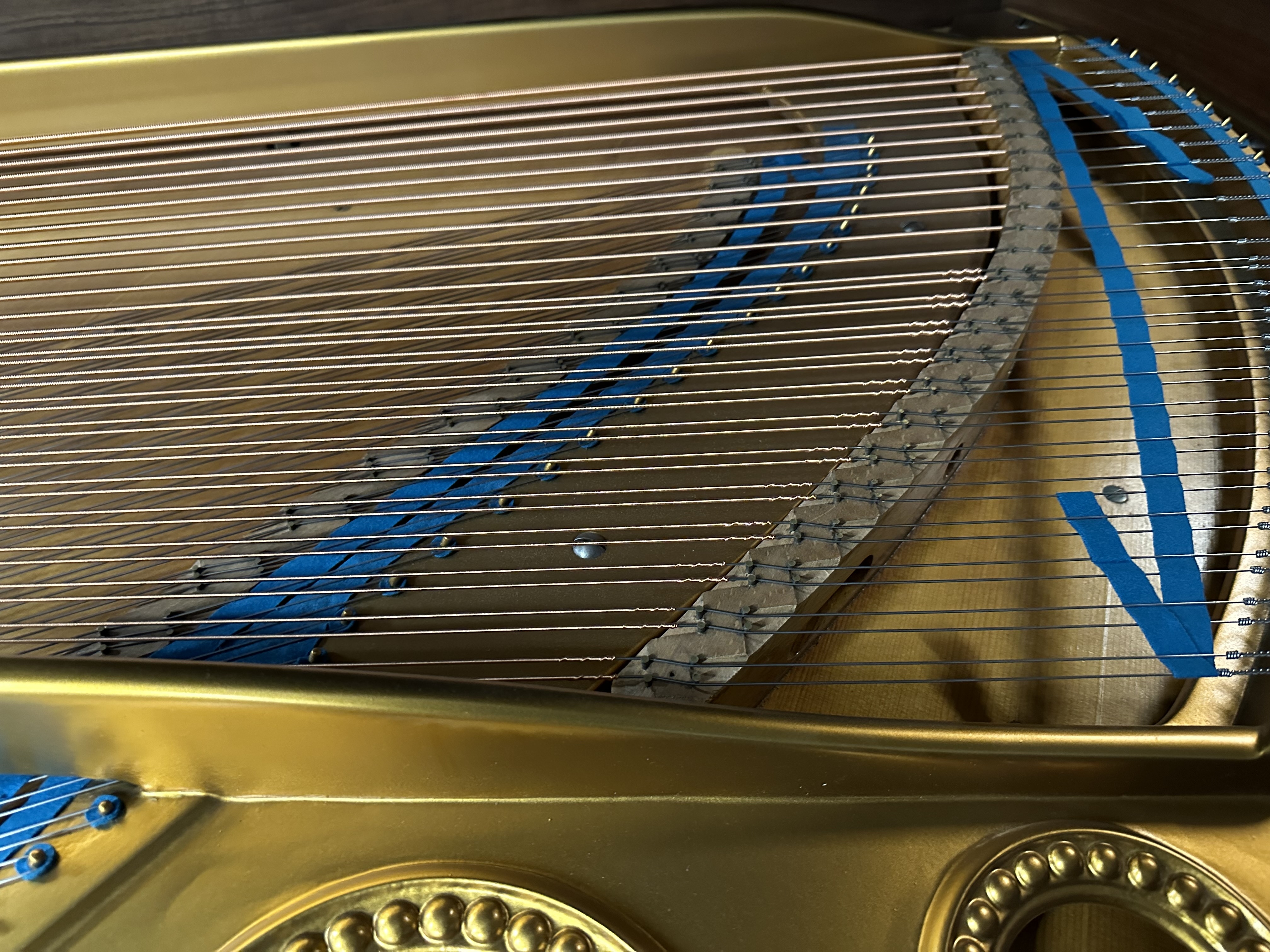 Bechstein V
