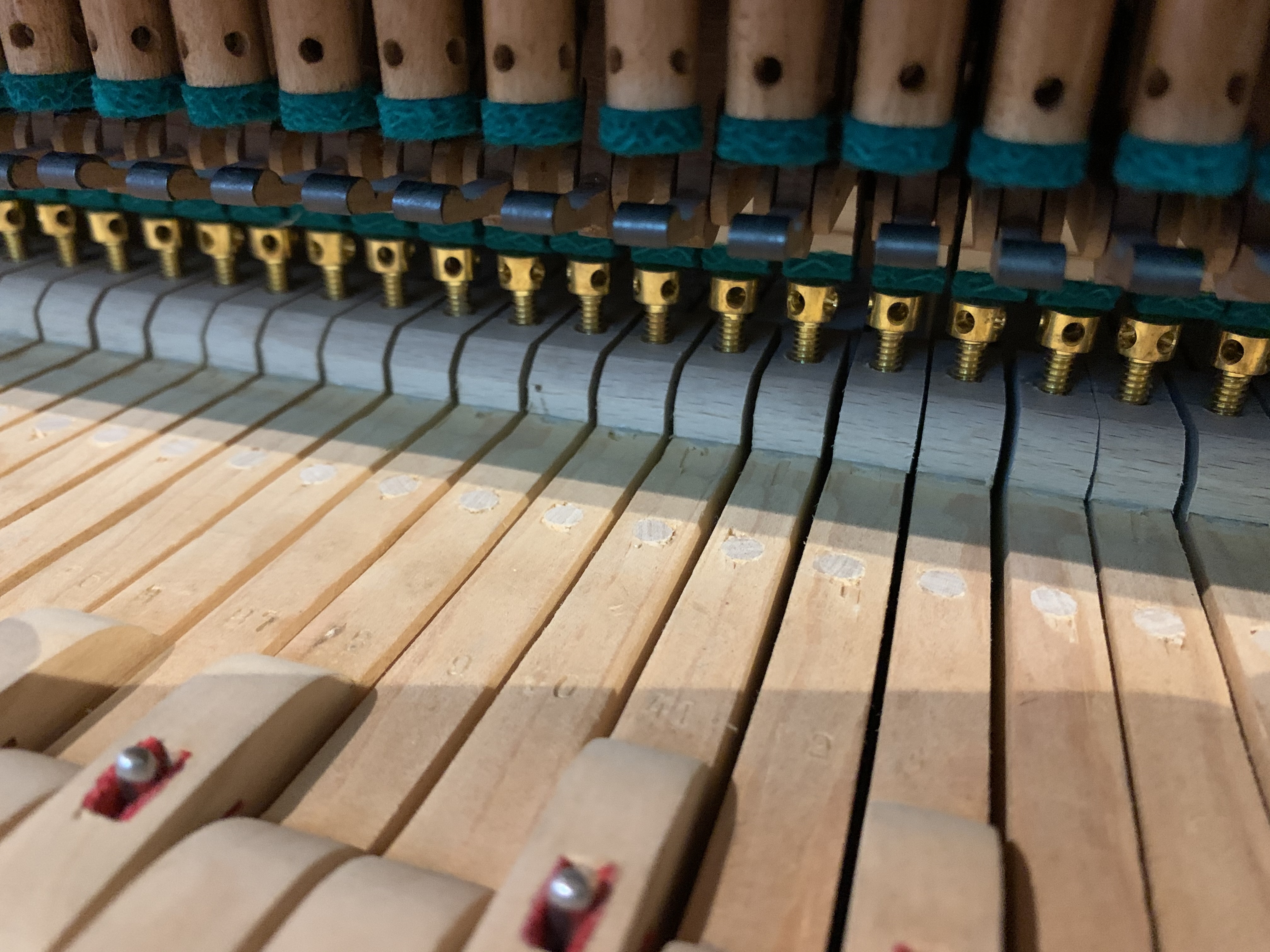 Bechstein III