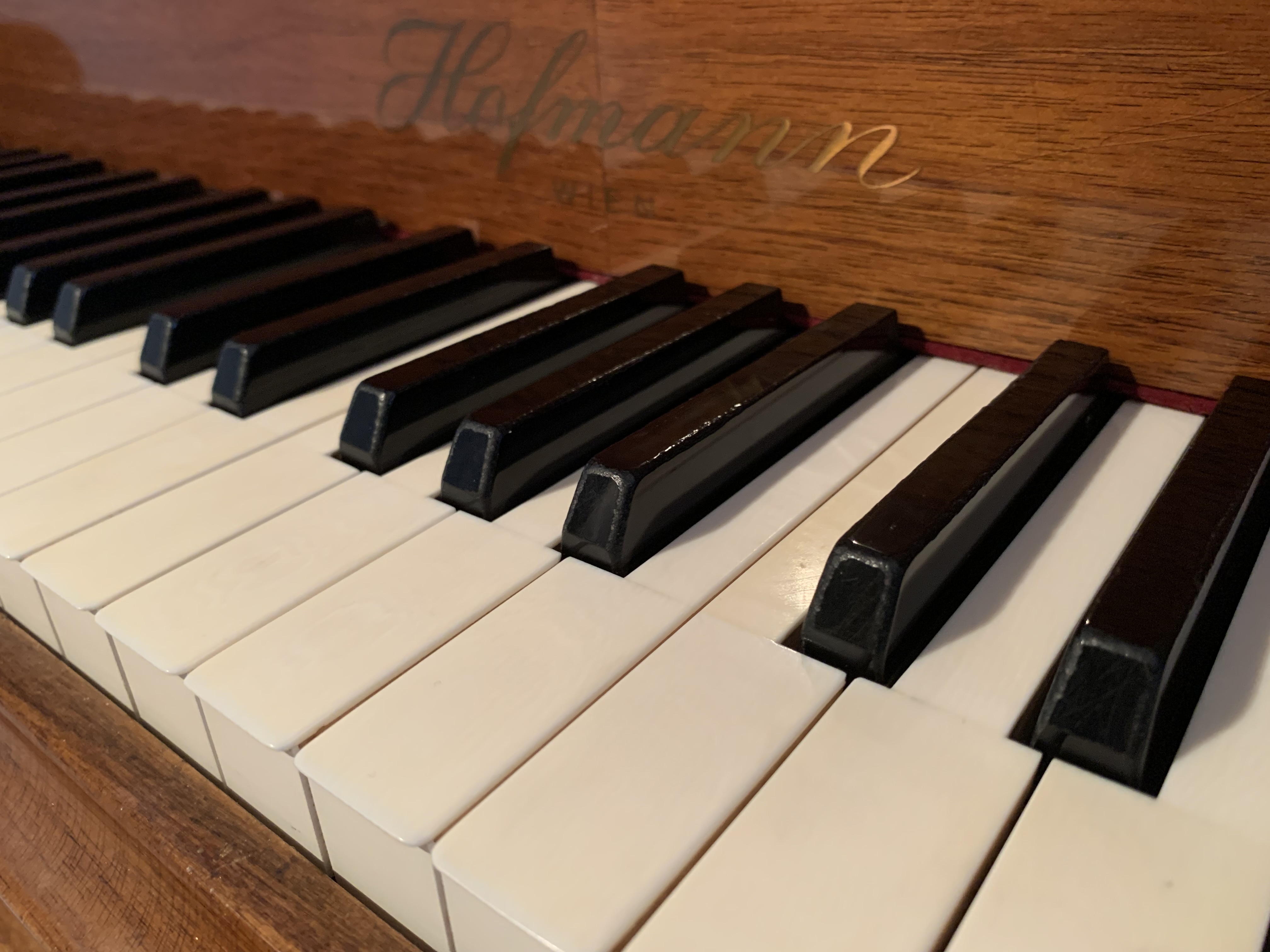 Hofmann & Czerny 150