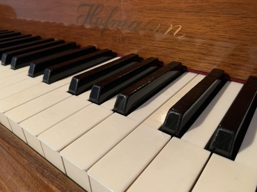 Hofmann & Czerny 150 grand Piano in bright walnut – Gallery image – Roberts Pianos Oxford