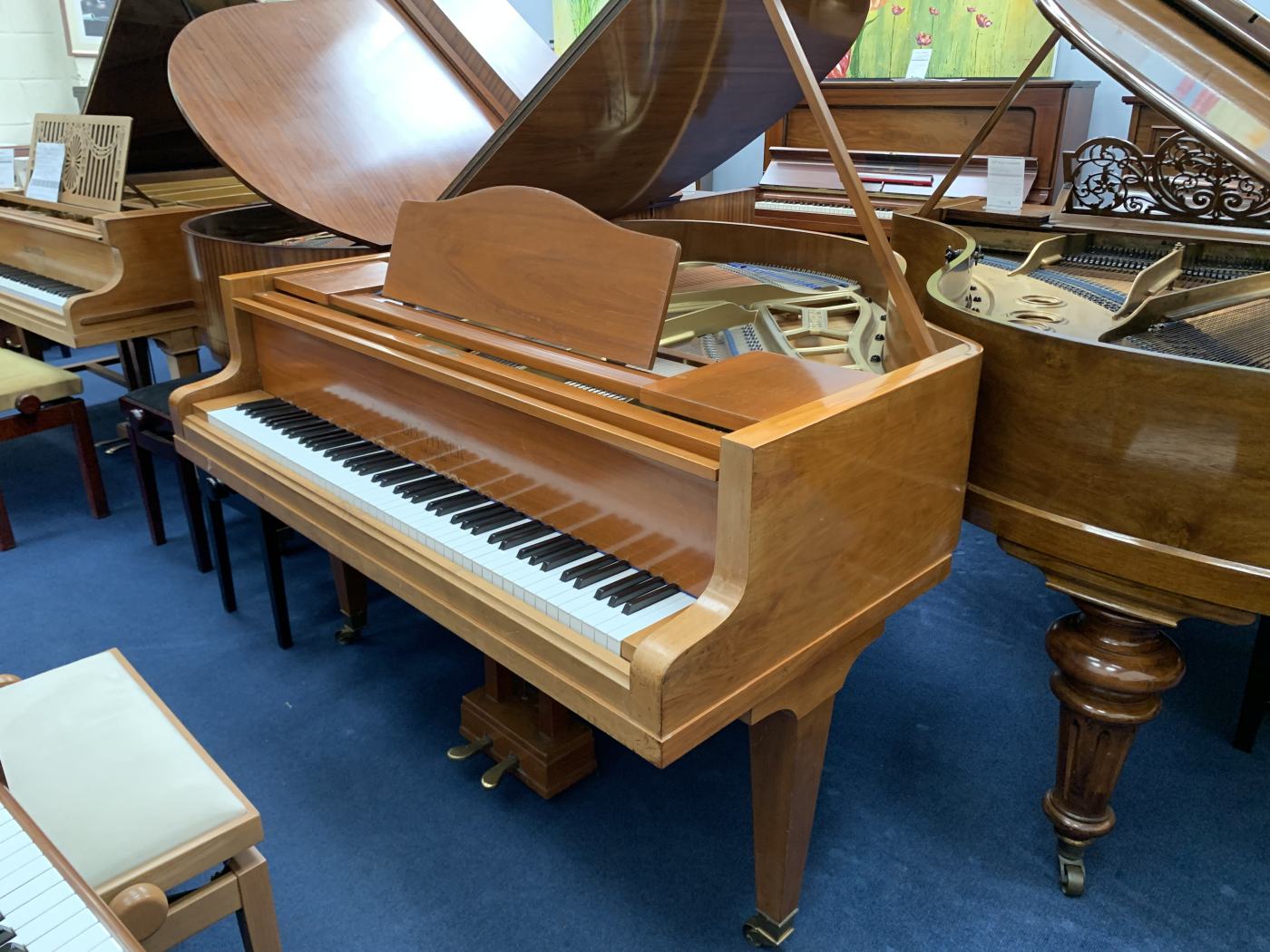 Bluthner IV grand Piano in Walnut – Featured image – Roberts Pianos Oxford