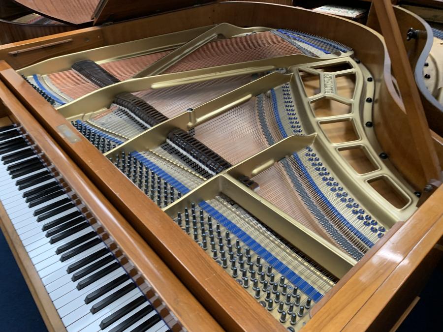 Bluthner IV grand Piano in Walnut – Gallery image – Roberts Pianos Oxford
