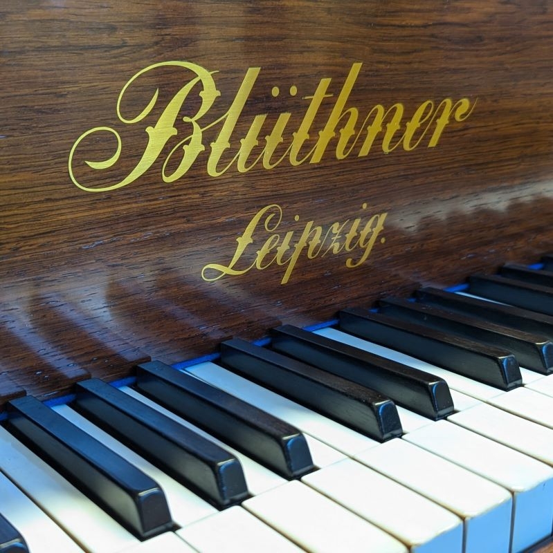 Bluthner Style VII