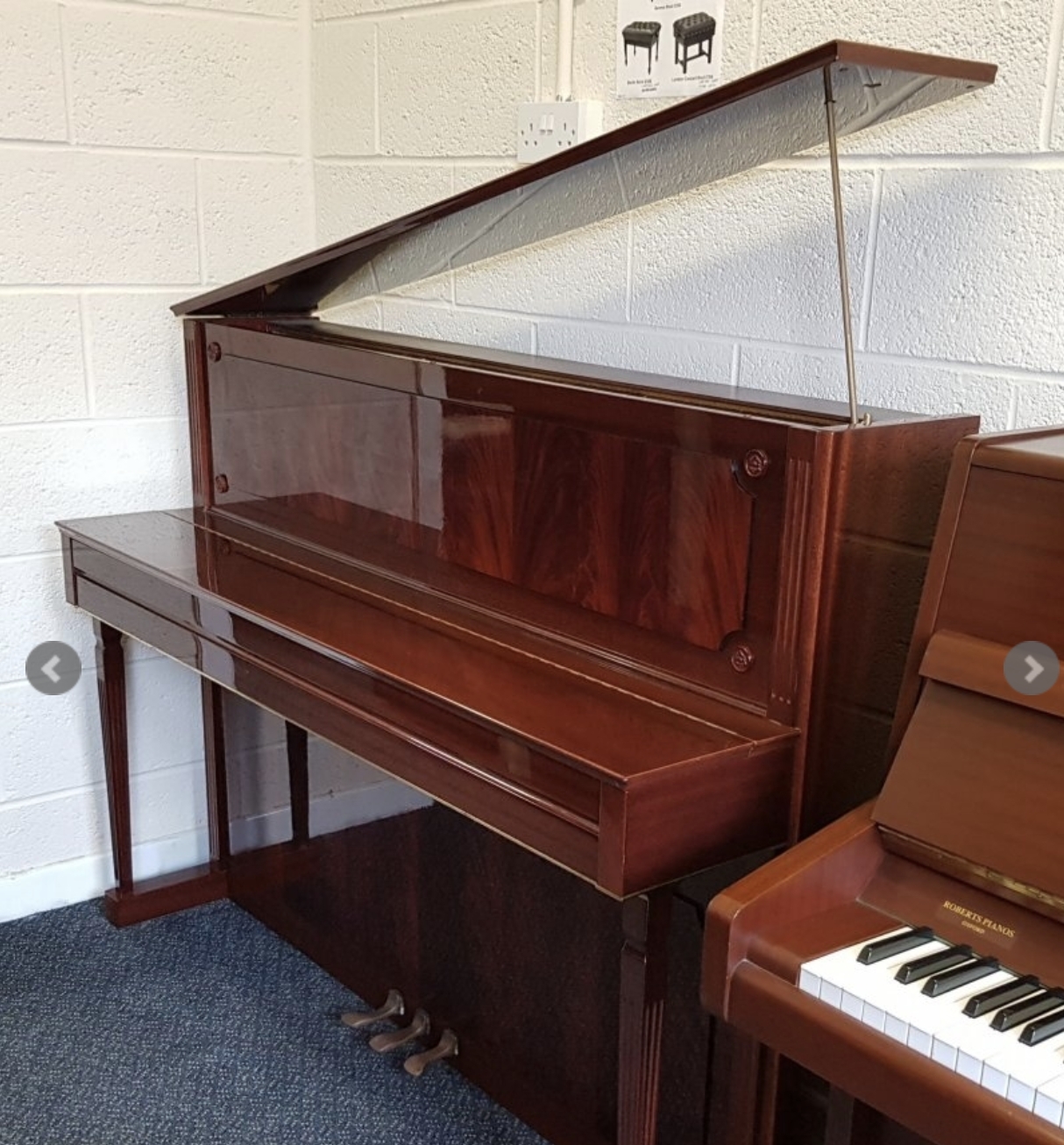 Schimmel 114