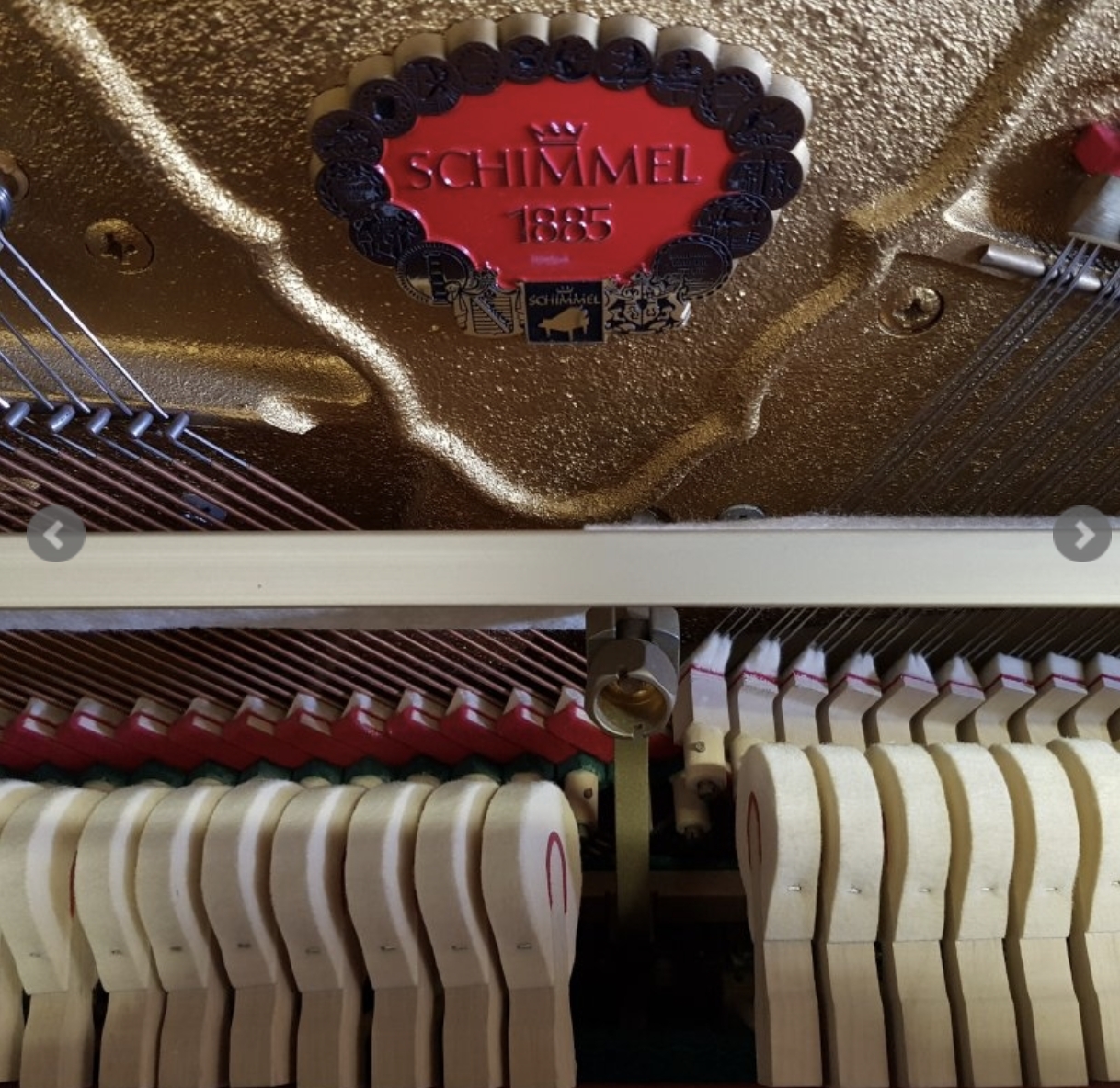 Schimmel 114