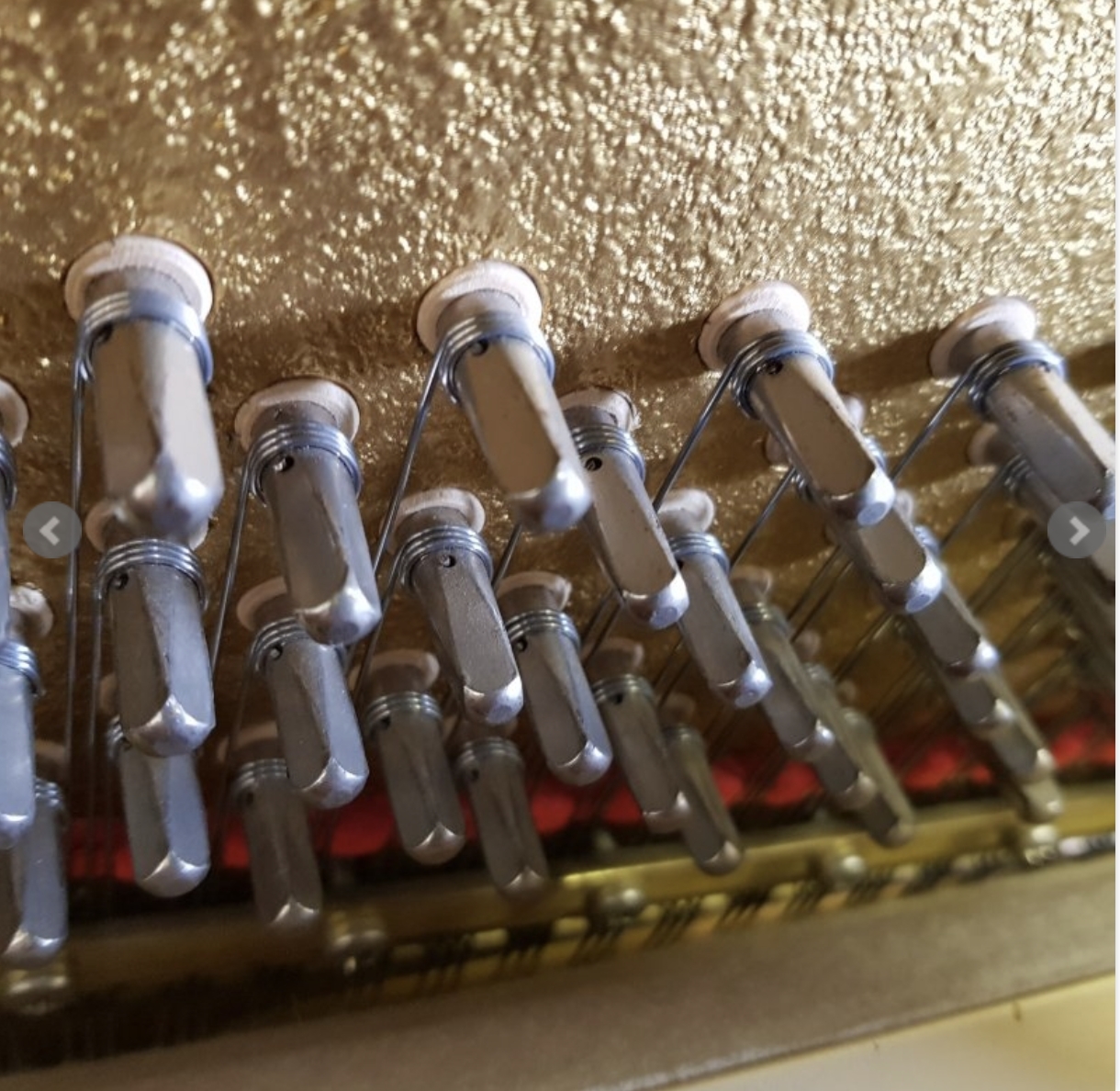 Schimmel 114