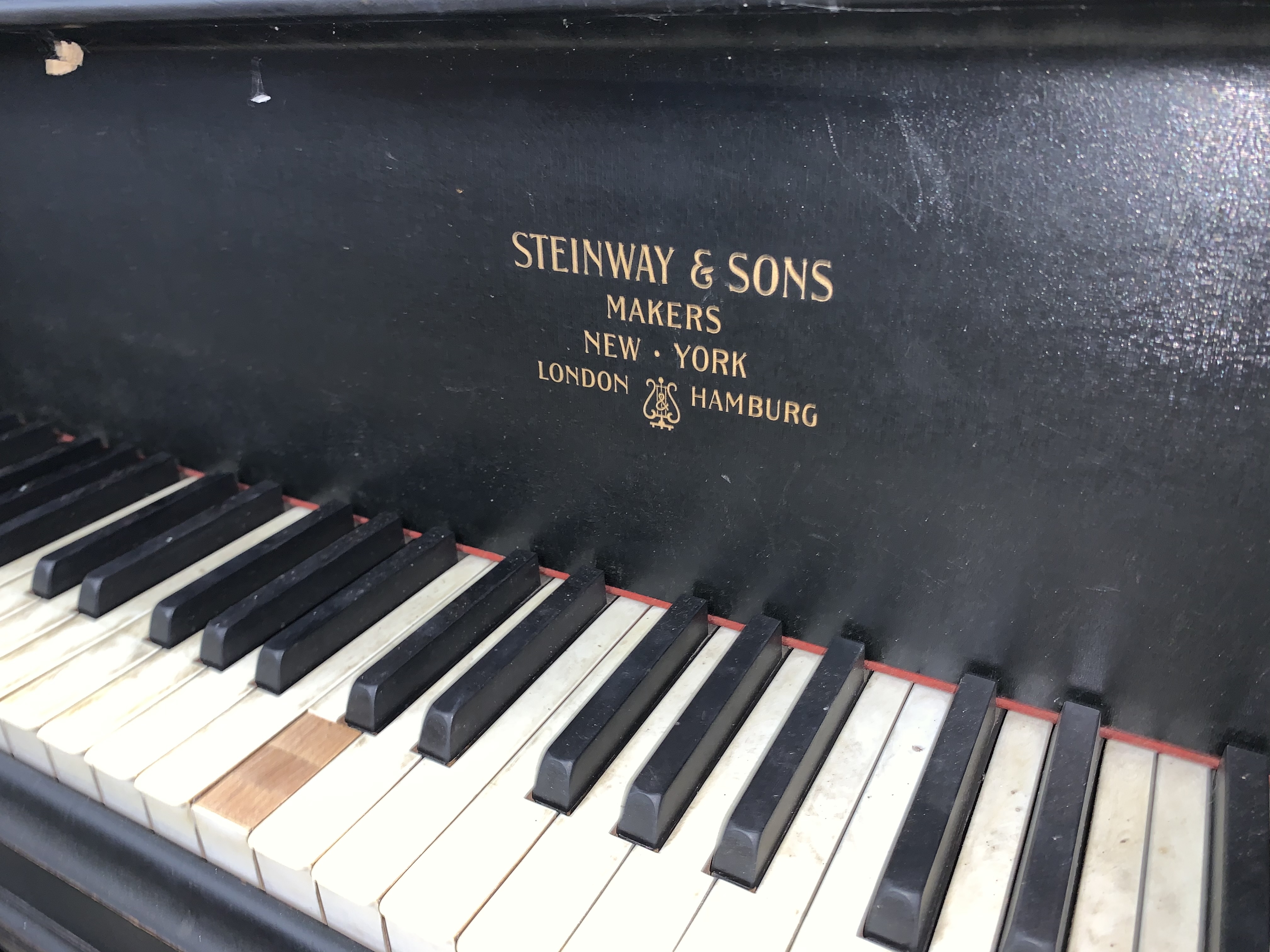 Steinway B