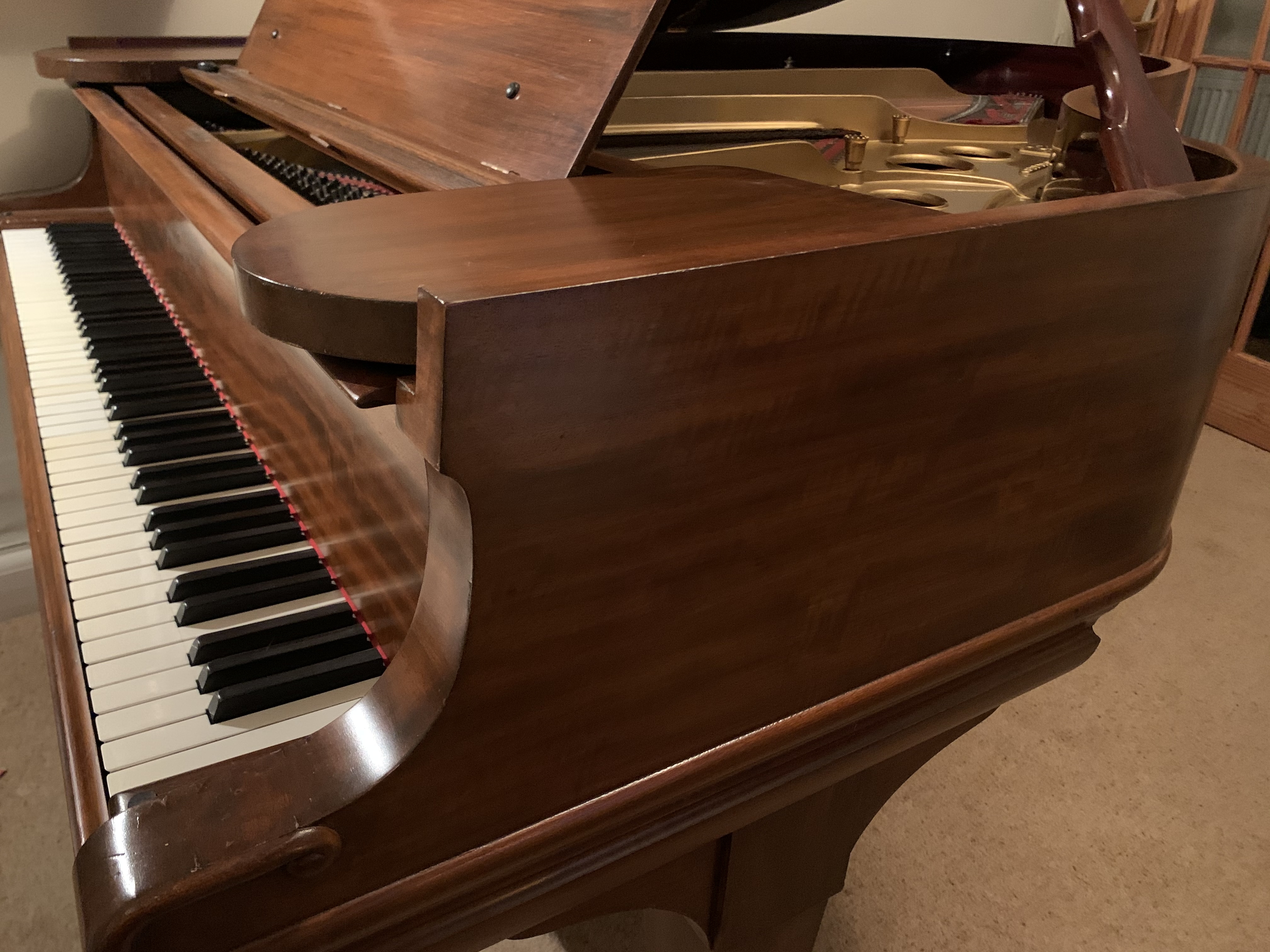 Steinway model O