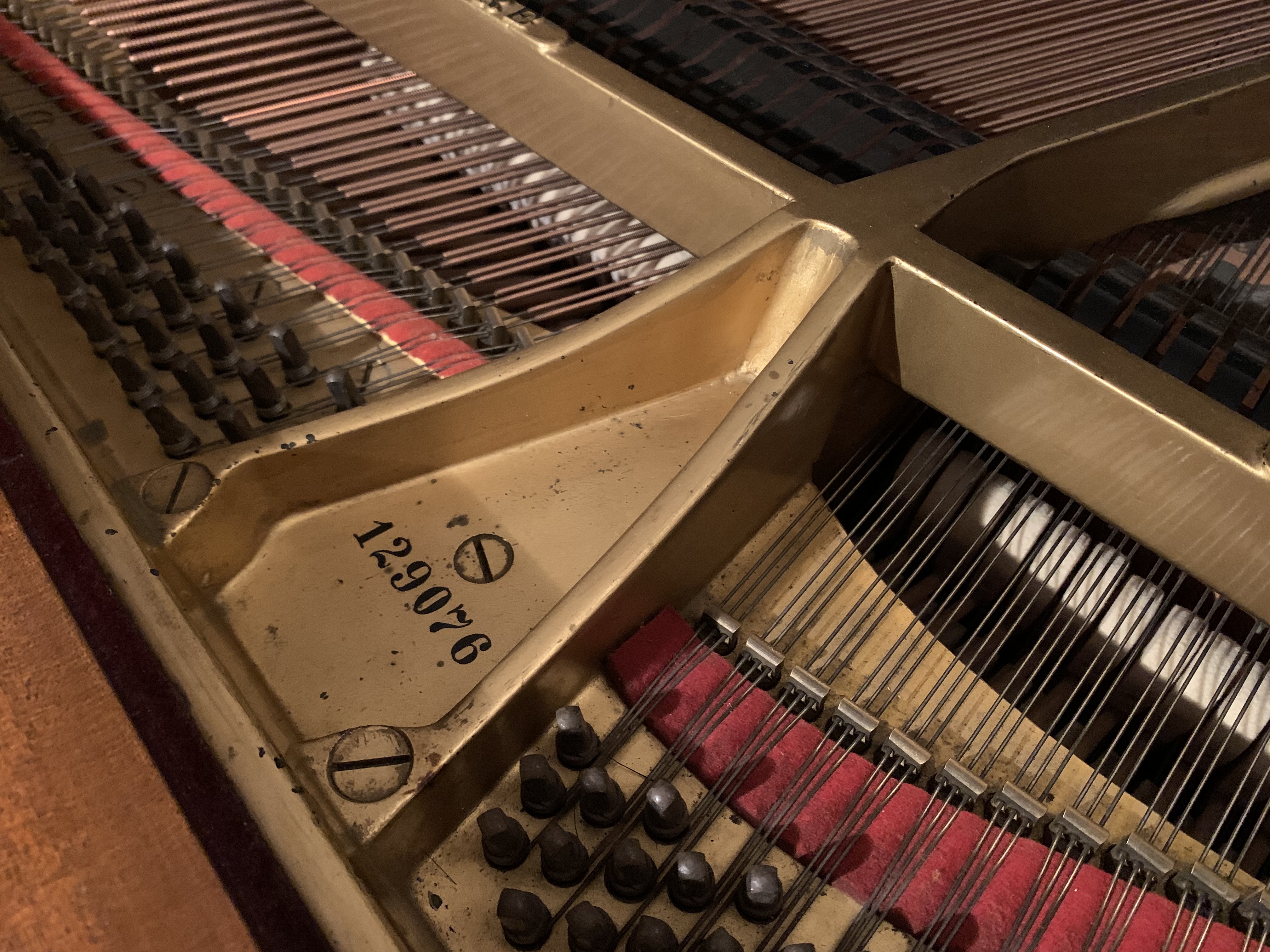 Steinway model O