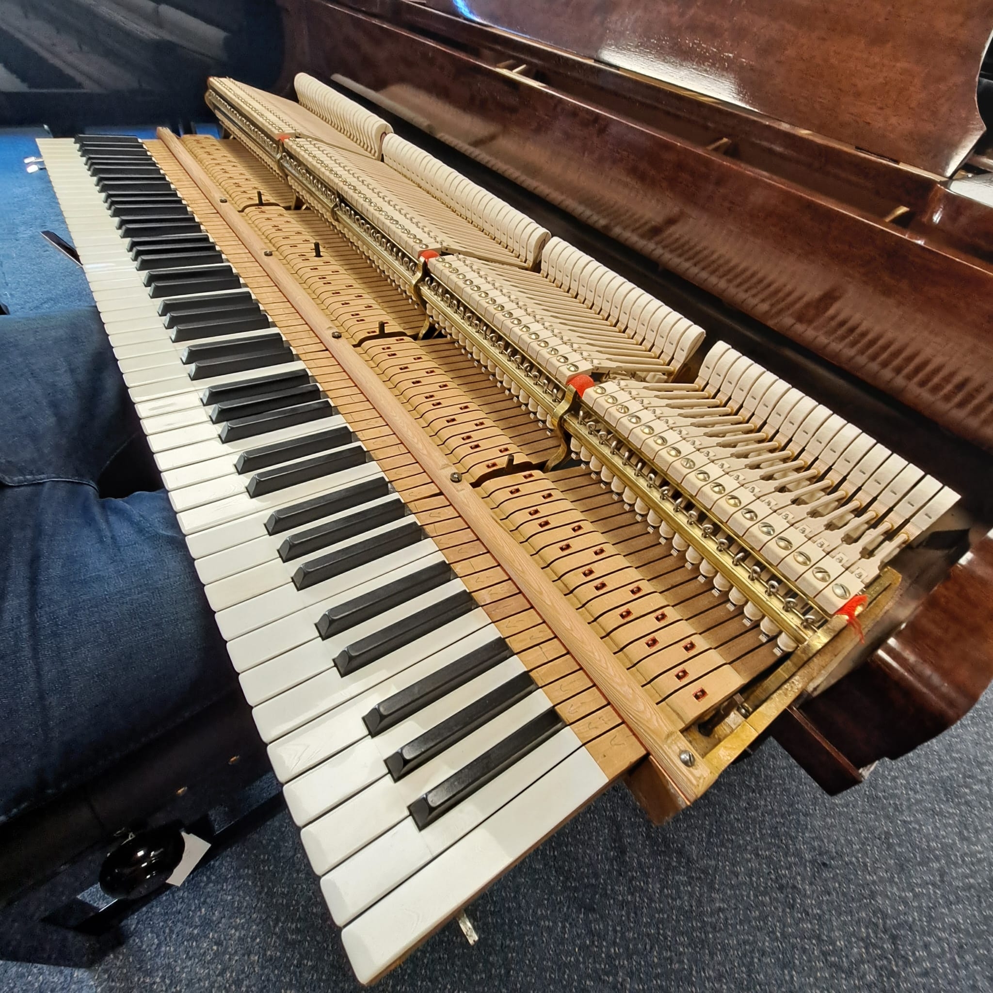 Steinway model O