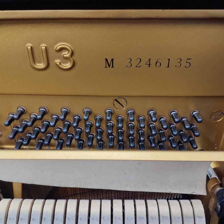 Yamaha U3M upright Piano in black polyester – Gallery image – Roberts Pianos Oxford