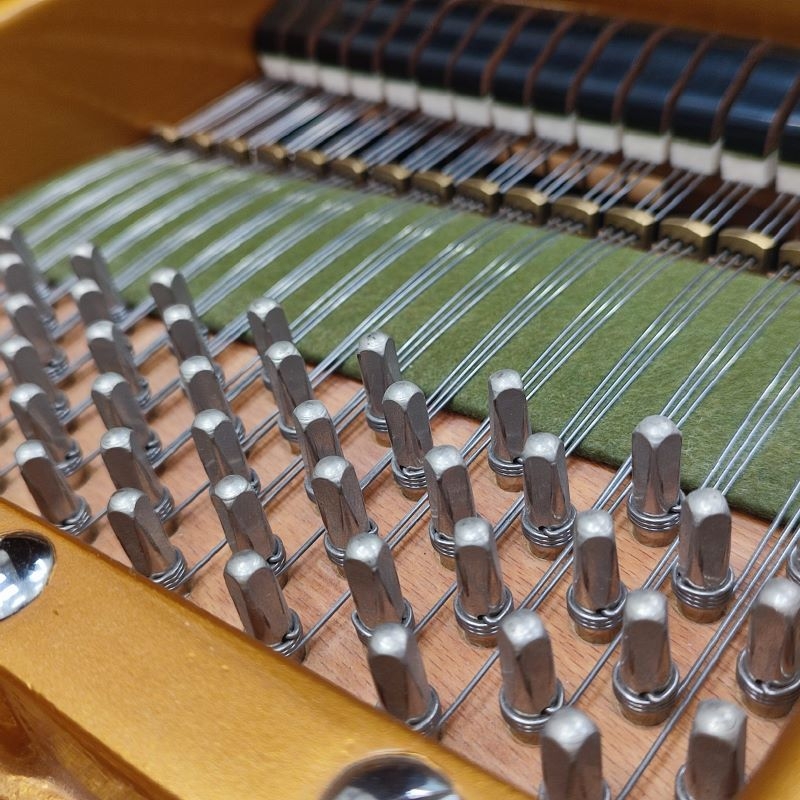 Bechstein V