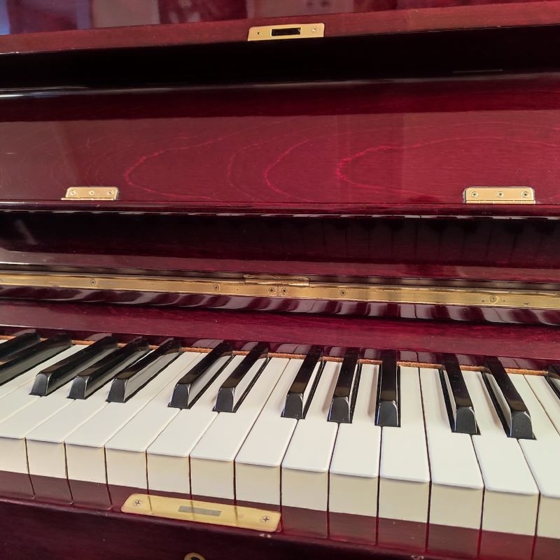 Yamaha U1
