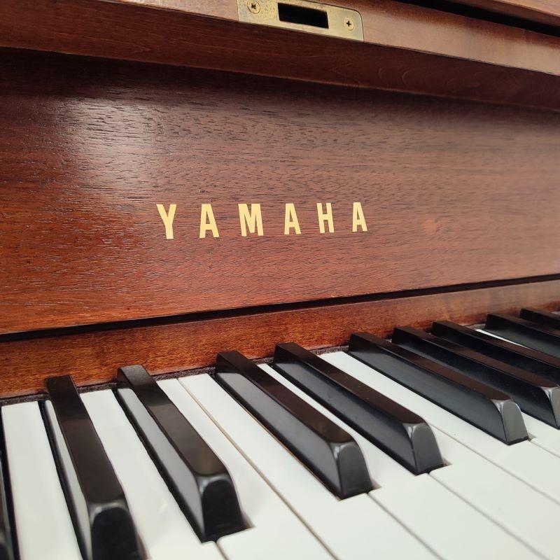 Yamaha P22 upright Piano in rosewood – Gallery image – Roberts Pianos Oxford