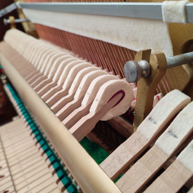 Yamaha P22