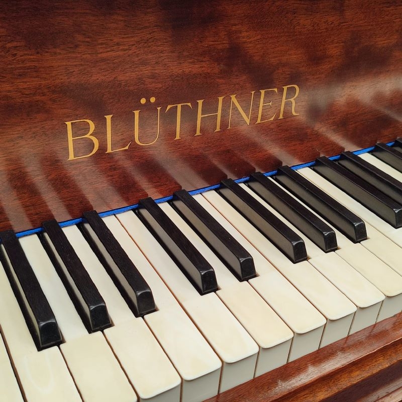 Bluthner Style IV