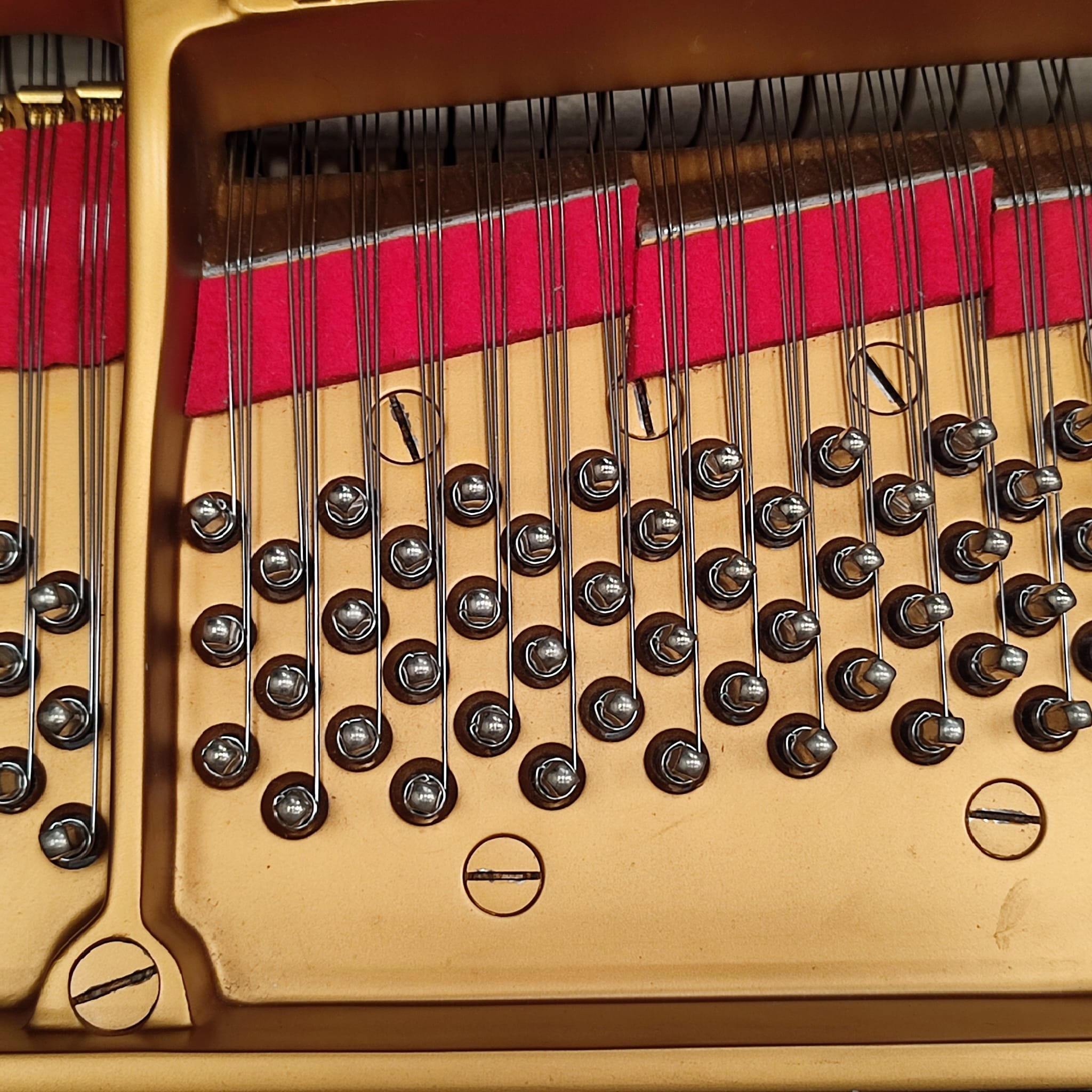 Steinway model O