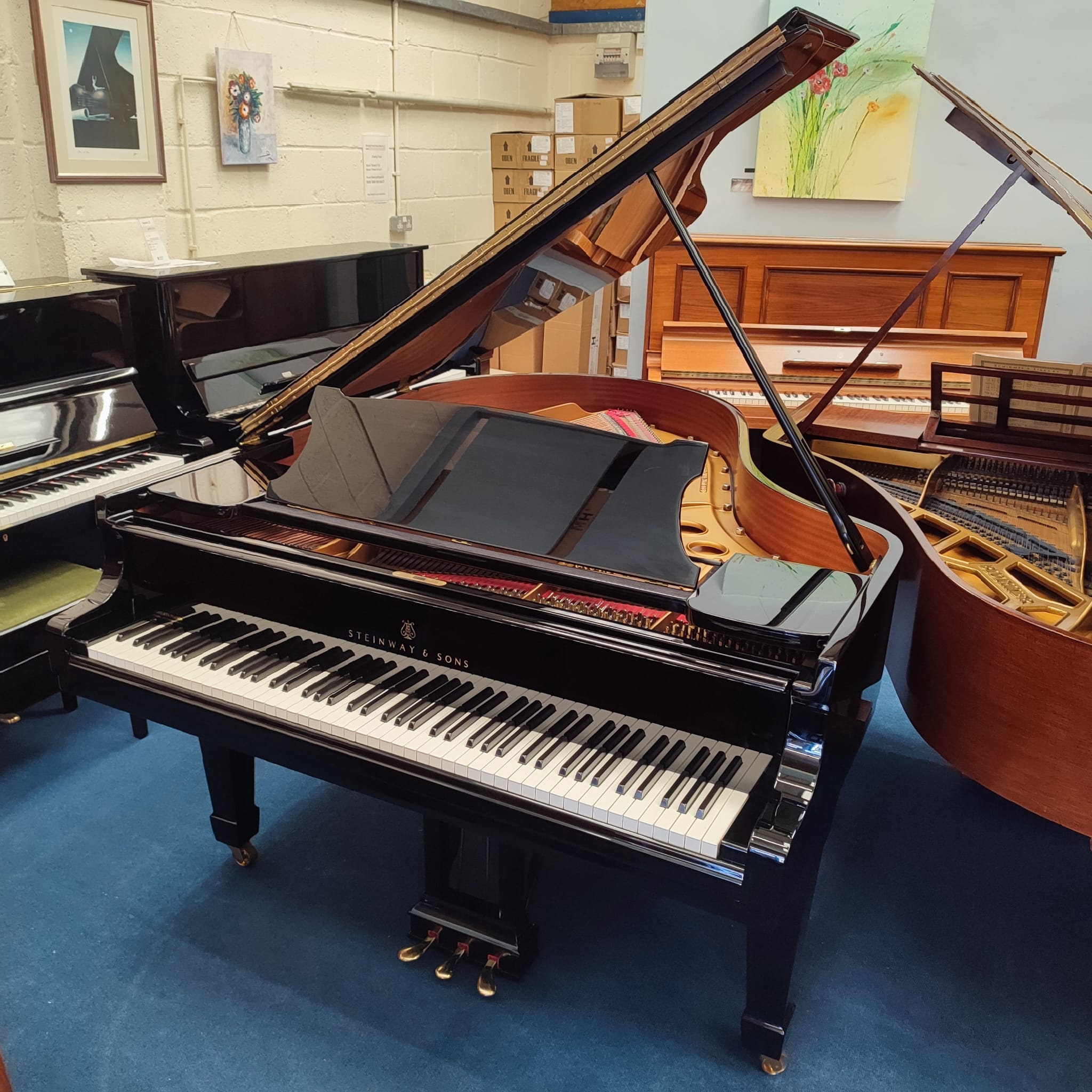 Steinway Model O
