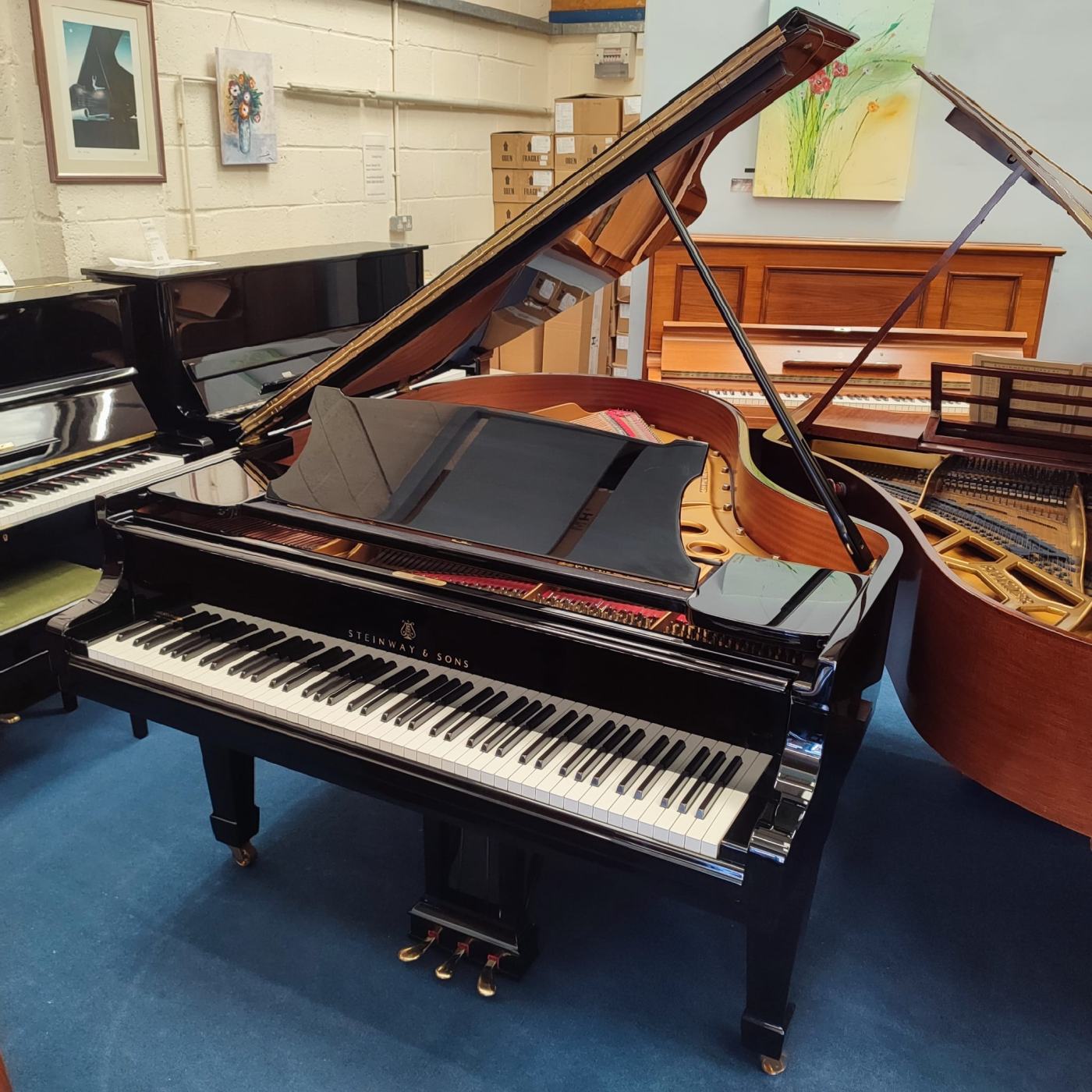 Steinway Model O grand Piano in black polyester – Featured image – Roberts Pianos Oxford
