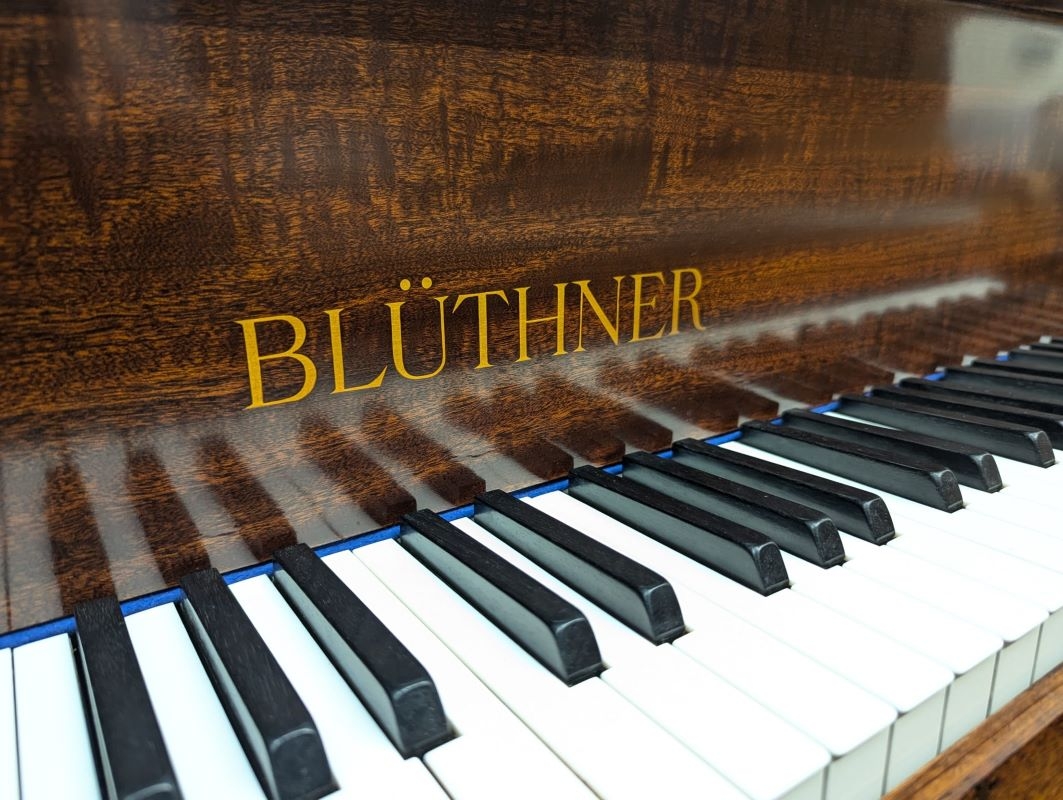 Bluthner Style IVa