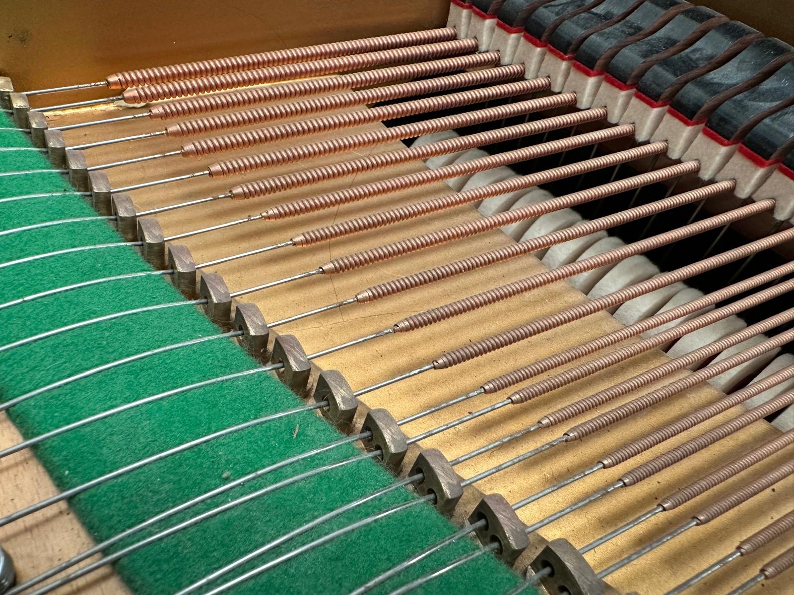 Bechstein B
