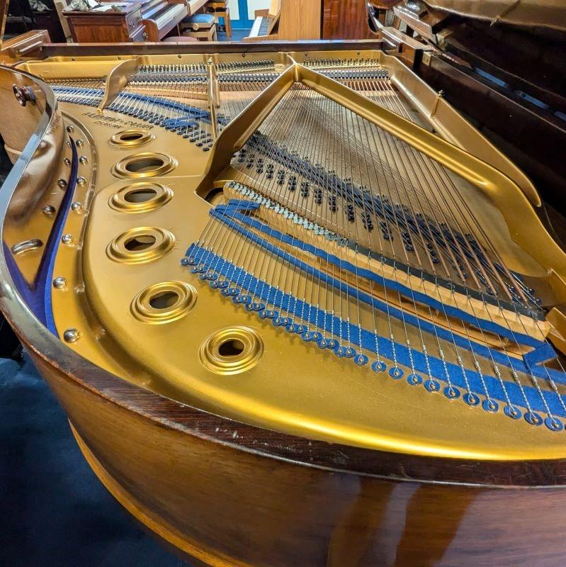 Bluthner Style X grand Piano in rosewood – Gallery image – Roberts Pianos Oxford